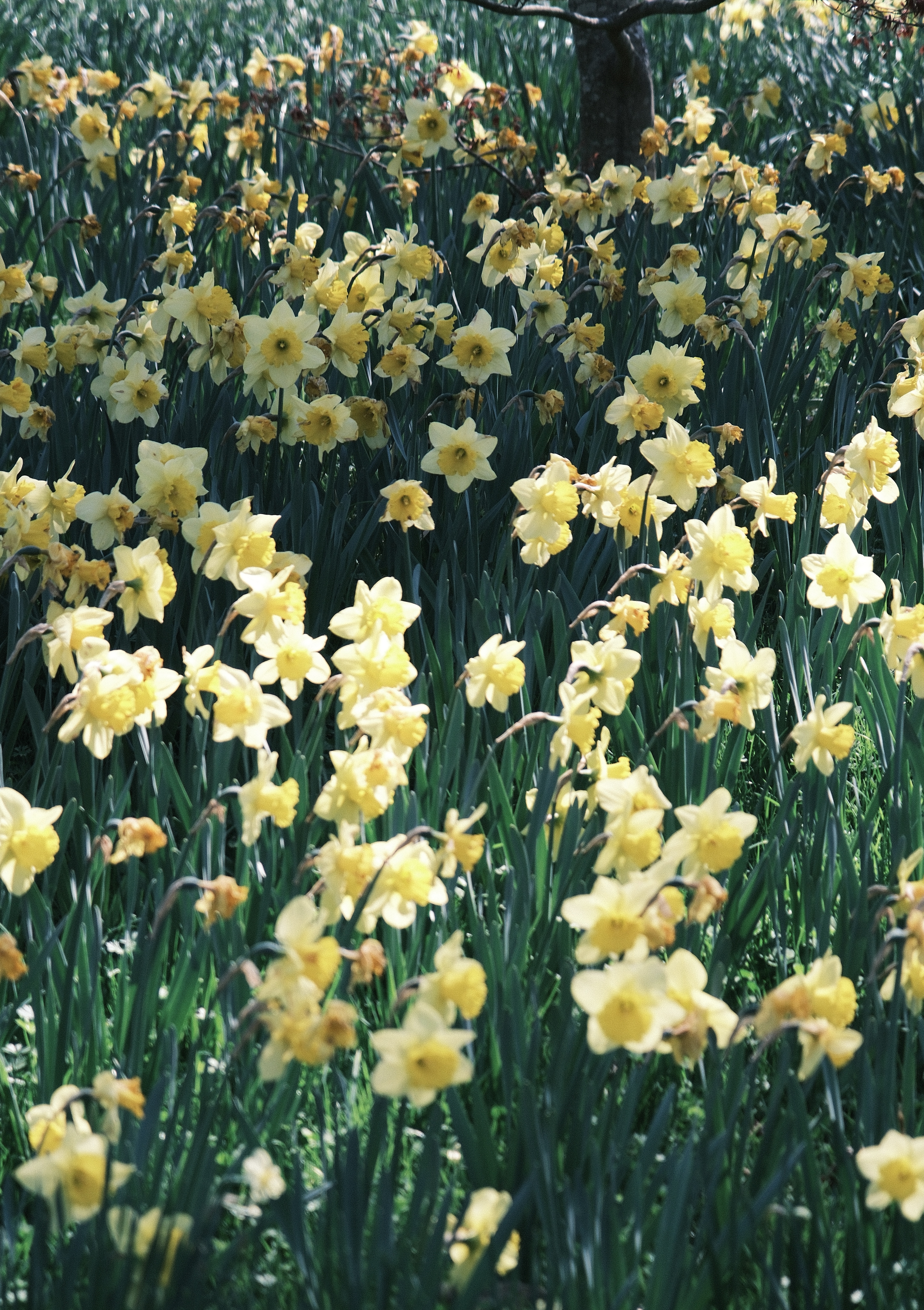 Nature photo 2