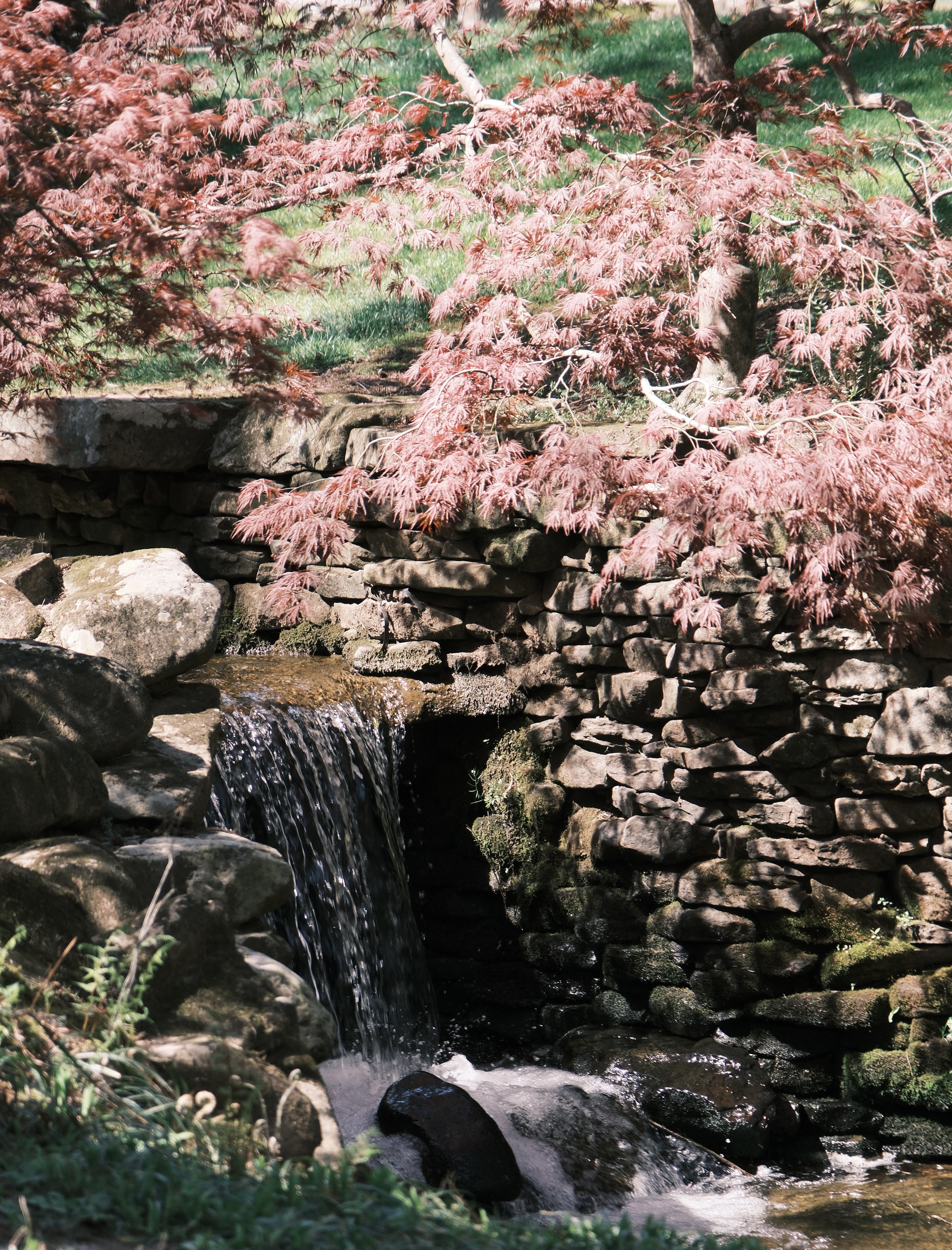 Nature photo 3