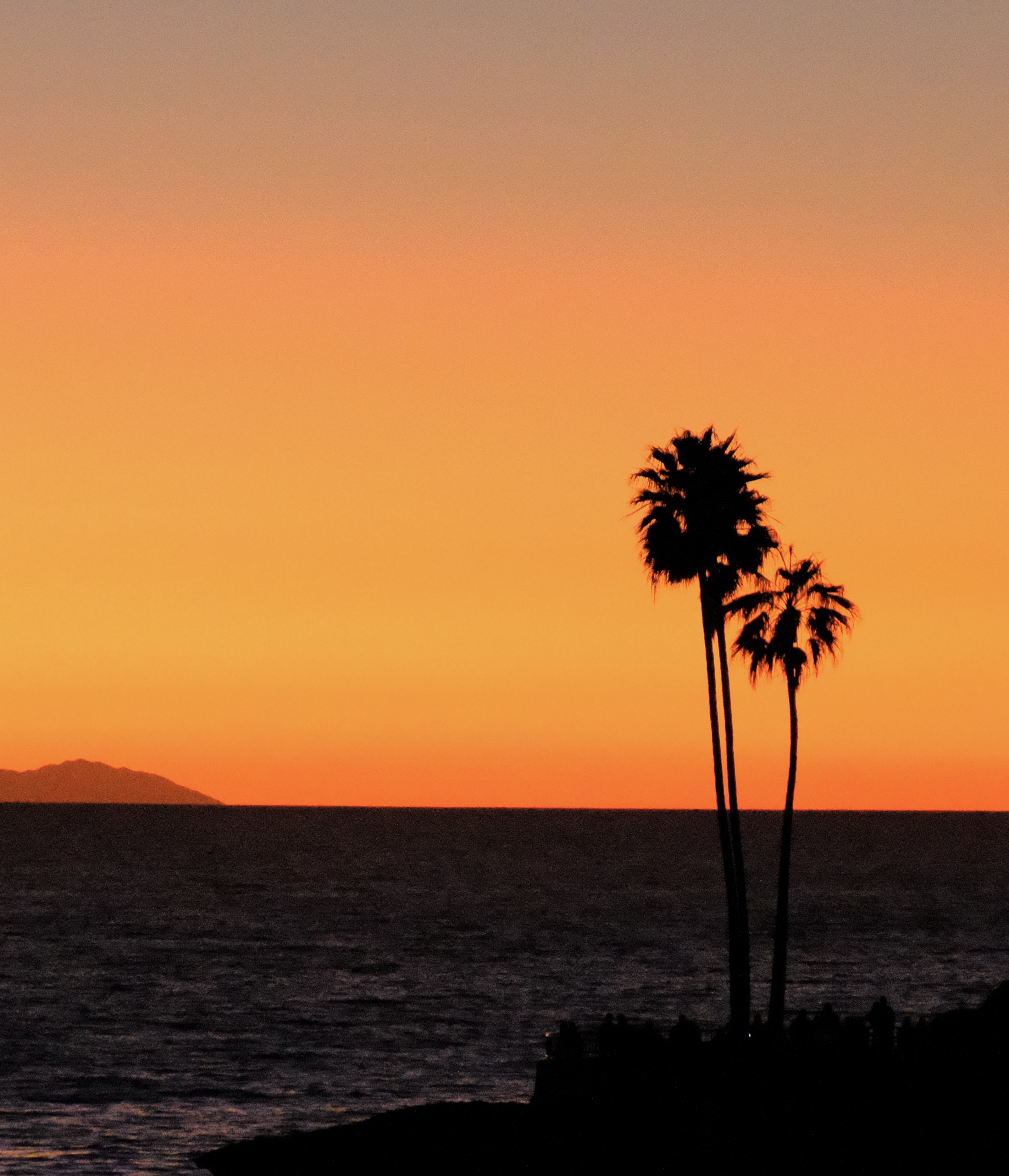Nature photo 1