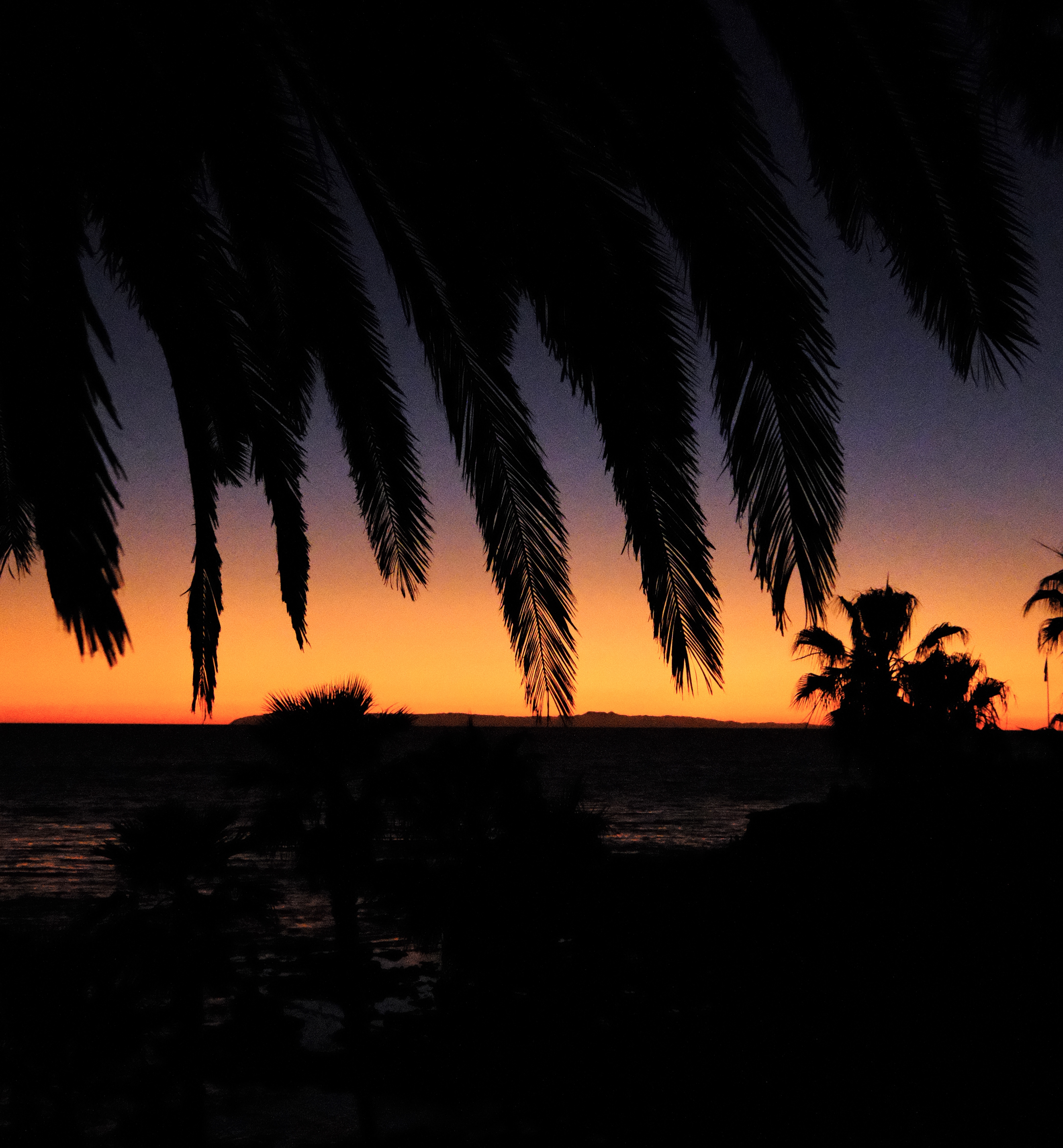 Nature photo 2